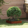 Nurmireunus 6 kpl 40 x 40 x 13 cm Ruosteinen