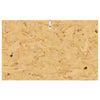 Terrarium Ruskea 80 x 50 x 50 cm OSB