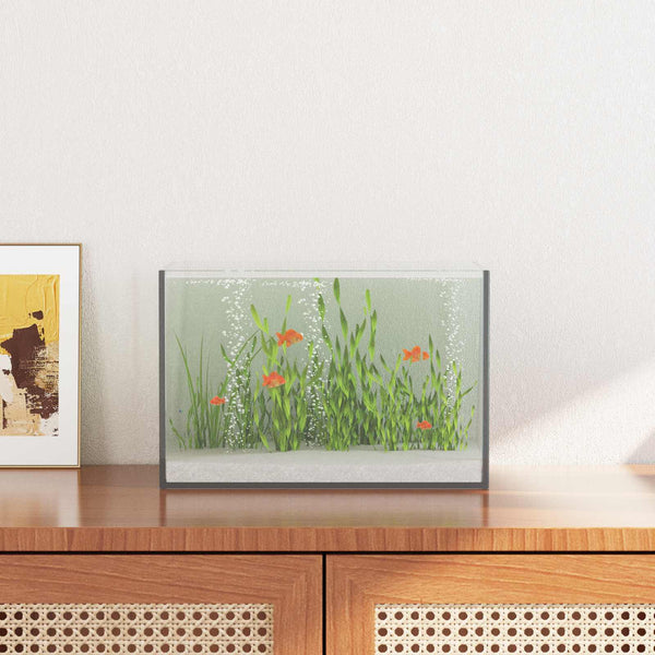 Akvaario säilytystilassa Läpinäkyvä 30 x 20 x 20 cm Lasi