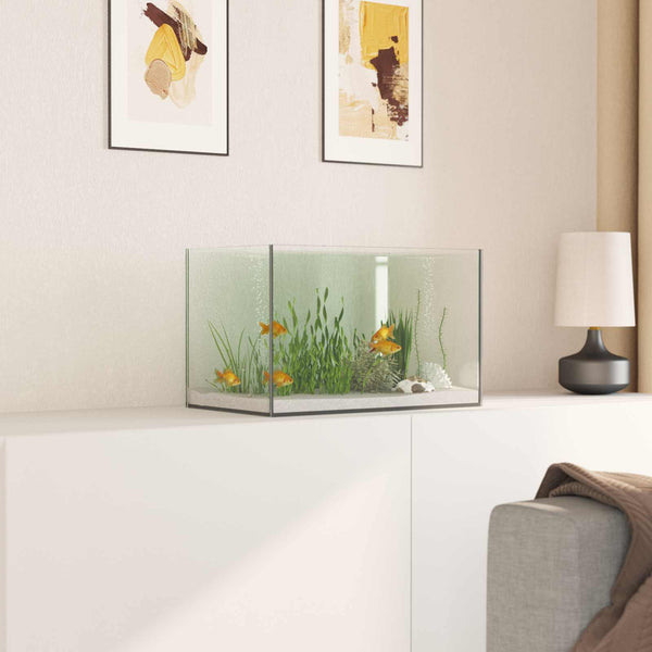 Akvaario säilytystilassa Läpinäkyvä 40 x 25 x 25 cm Lasi
