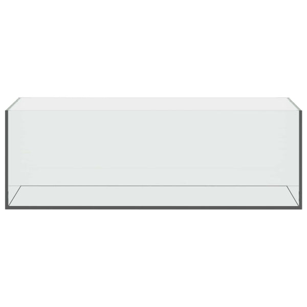 Akvaario säilytystilassa Läpinäkyvä 60 x 20 x 20 cm Lasi
