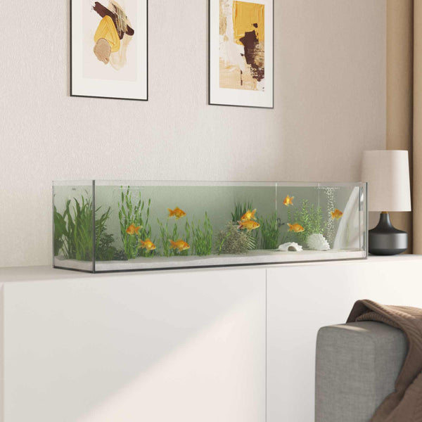 Akvaario säilytystilassa Läpinäkyvä 80 x 20 x 20 cm Lasi