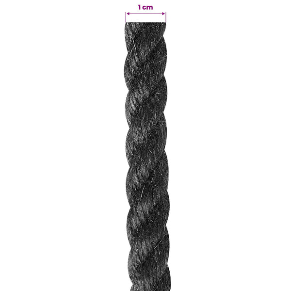 Juuttinaru 100 mm 250 m Musta 100% Tossa juutti