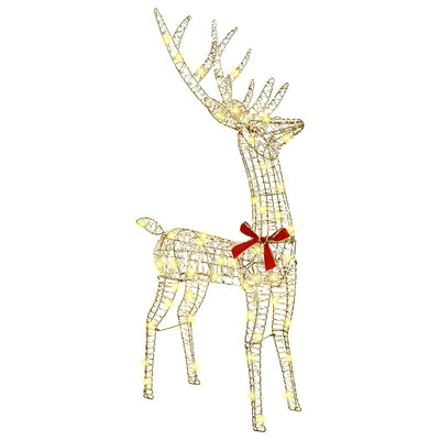 Valkoinen poron vetämä joulusleigh Scinteioara (lämmin pet)