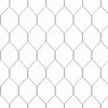 Kanahäkki Hopea 400x170x177cm Galvanoitu teräs