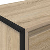 TV-kaappi 100 x 36 x 49,5 cm Sonoma Tekninen puu