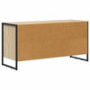 TV-kaappi 100 x 36 x 49,5 cm Sonoma Tekninen puu