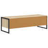 TV-kaappi Sonoma 100 x 36,5 x 30,5 cm Tekninen puu