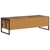 TV-kaappi Savupuu 100 x 36,5 x 30,5 cm Tekninen puu