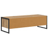 TV-kaappi Taidekoivu 100 x 36,5 x 30,5 cm Tekninen puu