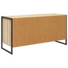 TV-kaappi Sonoma 100 x 36 x 49.5 cm Tekninen puu