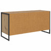 TV-kaappi Taidekoivu 100 x 36 x 49.5 cm Tekninen puu