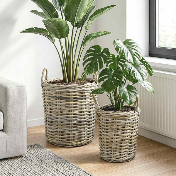 Ruukku kori GENDT 2 kpl Luonnollinen harmaa Kubu Rottinki