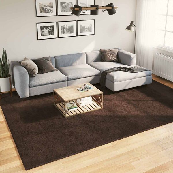 Matto HUARTE Ruskea 240 x 340 cm 100% polyesteri Litteä