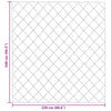 Talvityyny 220 x 240 cm 450 gsm Mikrokuitu (100% polyesteri)