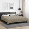 Talvityyny 220 x 260 cm 450 gsm Mikrokuitu (100% polyesteri)