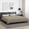 Talvityyny 200 x 240 cm 450 gsm Mikrokuitu (100% polyesteri)