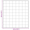 Talvityyny 200 x 240 cm 450 gsm Hopea