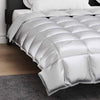 Talvityyny 200 x 220 cm 450 gsm Hopea