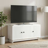 TV-kaappi valkoinen 99 x 34,5 x 50 cm Tekninen puu