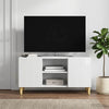 TV-kaappi 102 x 34,5 x 50 cm Korkeakiiltoinen valkoinen
