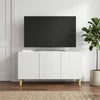 TV-kaappi valkoinen 99 x 34,5 x 50 cm Tekninen puu