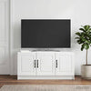 TV-kaappi Korkeakiiltoinen valkoinen 99 x 34,5 x 47 cm