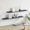 Kelluva hylly 2 kpl Antrasiitti 100 x 18 x 2,5 cm Teräs