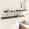Kelluva hylly 2 kpl Antrasiitti 100 x 18 x 2,5 cm Teräs