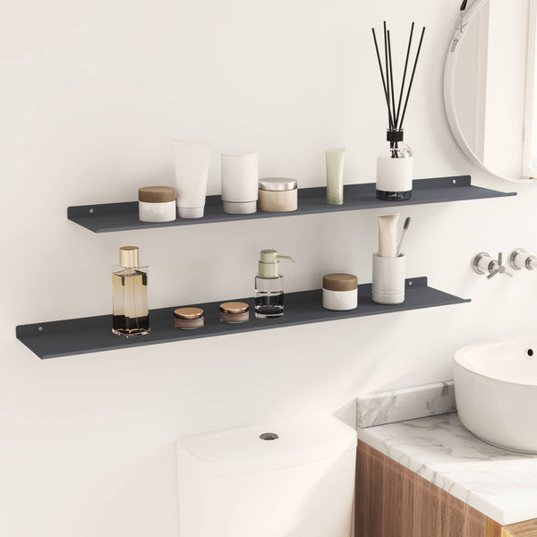 Kelluva hylly 2 kpl Antrasiitti 100 x 18 x 2,5 cm Teräs