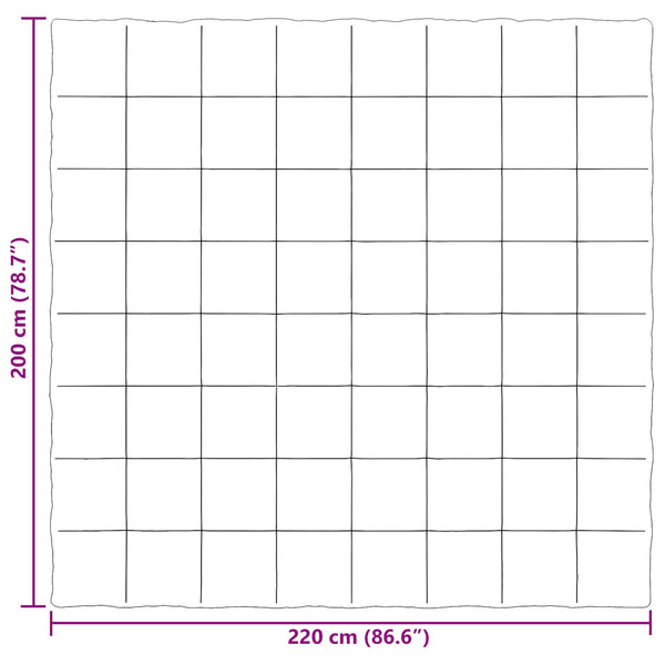 Talvityyny 200 x 220 cm Talvi Mikrokuitu (100% polyesteri)