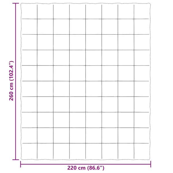 Talvityyny 220 x 260 cm Talvi Mikrokuitu (100% polyesteri)