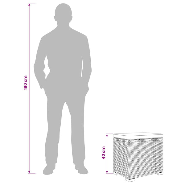 Puutarhankäytävä istuintyynyn kanssa 2 pcs Harmaa polyrottinki
