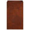 Puutarha ruukku 2 kpl Ruosteinen 30 x 30 x 50 cm