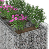 Gabion Kohotettu Peti 2 kpl 200 x 100 x 100 cm Galvanoitu teräs
