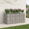 Gabion Kohotettu Peti 2 kpl 200 x 100 x 100 cm Galvanoitu teräs
