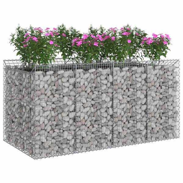 Gabion Kohotettu Peti 2 kpl 200 x 100 x 100 cm Galvanoitu teräs