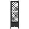 Kohotettu sänky trellisin ja katon kanssa Musta PP