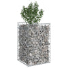 Gabion Kohotettu Peti 50 x 50 x 80 cm Galvanoitu teräs Hopea