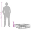 Gabion Kohotettu Peti 80 x 80 x 12 cm Galvanoitu teräs Hopea