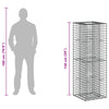 Gabion Kohotettu Peti 50 x 50 x 150 cm Galvanoitu teräs Hopea