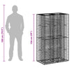 Gabion Kohotettu Peti 90 x 50 x 150 cm Galvanoitu teräs Hopea