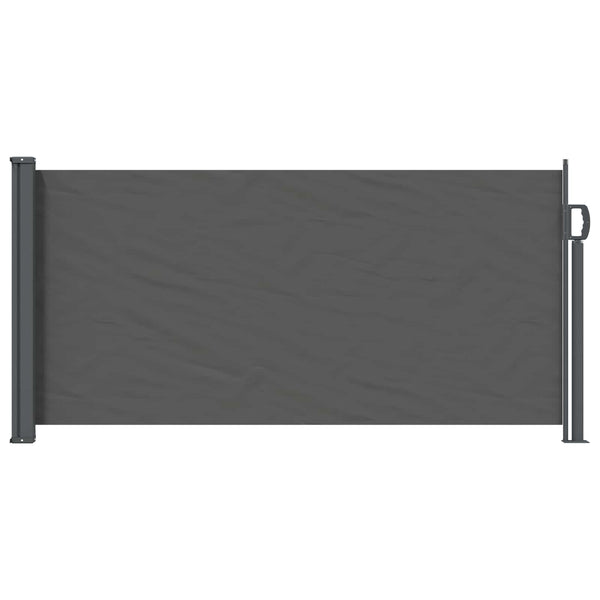 Käytäväverho Antrasiitti 300 x 100 cm Polyesteri