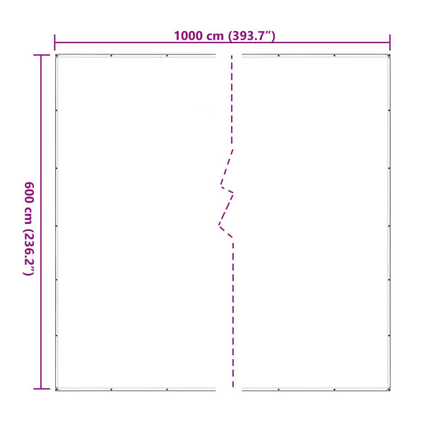 Kasvikate 6 x 10 m PE Läpinäkyvä