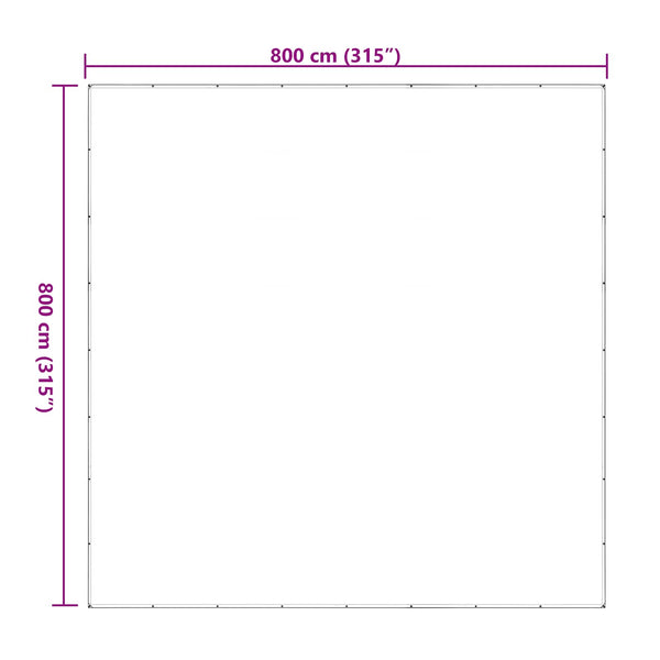 Kasvikate 8 x 8 m PE Läpinäkyvä