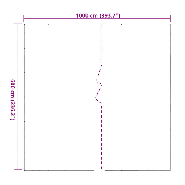 Kasvikate 6 x 10 m Polyvinyylikloridi Läpinäkyvä