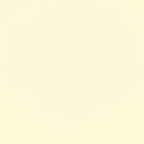 Ulkoilman rullakaihdin UV-suojaus Kerma 100 x 230 cm (L x K)