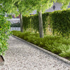 Nurmireunus 30 kpl 103 x 15 cm Teräs Hopea