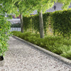 Nurmireunus 30 kpl 103 x 15 cm Teräs Hopea