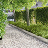 Nurmireunus 20 kpl 103 x 20 cm Teräs Hopea